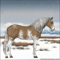 Horse Color:White Spotted Silver Smoky Black 
