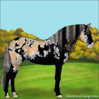 Horse Color:White Spotted Sable Cream Champagne 