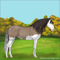 Horse Color:Classic Champagne Splash 