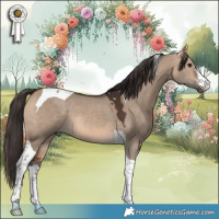 Horse Color:White Spotted Bay Dun Tobiano 