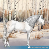 Horse Color:Gray White Spotted Silver Buckskin Pearl Tobiano 