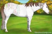 Horse Color:White Spotted Chestnut Ice Sabino Splash