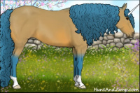 Horse Color:Watercolor Bay 