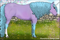 Horse Color:Watercolor Bay 