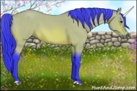 Horse Color:Watercolor Bay Roan 