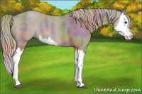 Horse Color:Nacre Silver Grullo Splash 