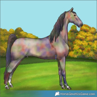 Horse Color:Nacre Bay Dun 
