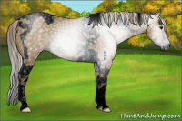 Horse Color:Gray Void Silver Smoky Grullo Splash Tobiano Rabicano 