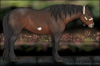 Horse Color:Liver Chestnut Frame 