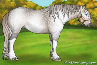 Horse Color:Gray Silver Smoky Grullo Roan Splash Frame 