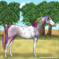 Horse Color:Painted Watercolor Liver Chestnut Ice Sabino Tobiano Rabicano 