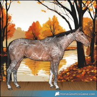 Horse Color:Brown Ice Tobiano