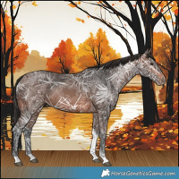 Horse Color:Brown Ice Tobiano