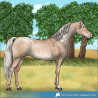 Horse Color:White Spotted Chocolate Silver Brown Pearl Dun 
