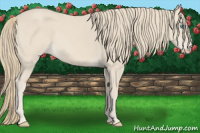 Horse Color:Smoky Creme 