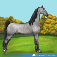Horse Color:Platinum Brown Dun