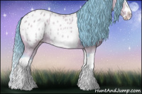 Horse Color:Watercolor Buckskin Roan Splash Frame Appaloosa Rabicano 