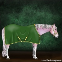 Horse Color:Watercolor Silver Buckskin Onyx 