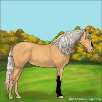 Horse Color:Void Silver Sable Cream Champagne 