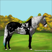 Horse Color:Midnight Silver Smoky Creme Splash Tobiano Snowcap 