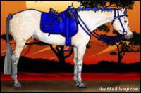 Horse Color:Gray Buckskin Ice Dun 