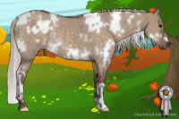 Horse Color:White Spotted Chocolate Silver Brown Dun Rabicano 