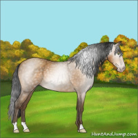 Horse Color:Gray Sable Cream Champagne Roan 