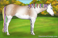 Horse Color:Gray Painted Silver Amber Champagne Splash 