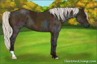 Horse Color:Midnight Silver Buckskin Ice 