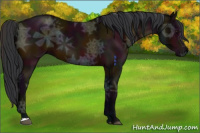 Horse Color:Midnight Bay Ice 