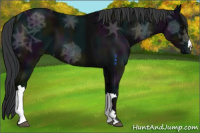 Horse Color:Midnight Black Ice 