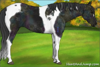 Horse Color:Midnight Black Ice Tobiano 