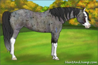 Horse Color:Midnight Brown Ice Roan Dun Splash 