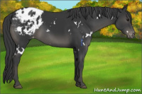 Horse Color:White Spotted Black Varnish 