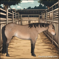 Horse Color:Bay Dun 