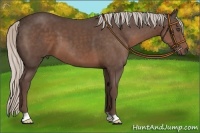 Horse Color:Silver Black 