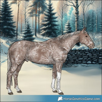 Horse Color:Silver Black Ice Tobiano