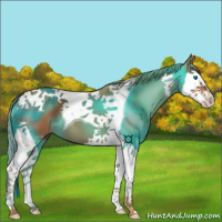 Horse Color:Chestnut Splash Tobiano