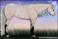 Horse Color:Watercolor Silver Sable Cream Champagne 