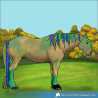 Horse Color:Painted Watercolor Bay 