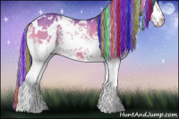 Horse Color:Painted Watercolor White Spotted Bay 