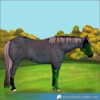 Horse Color:ERROR: UNKNOWN ANOMALY