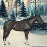 Horse Color:Smoky Black Tobiano