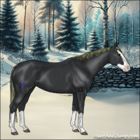 Horse Color:Painted Black Splash 
