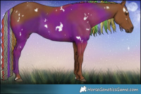 Horse Color:Painted White Spotted Chestnut 