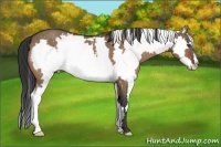 Horse Color:White Spotted Bay Dun Splash Frame