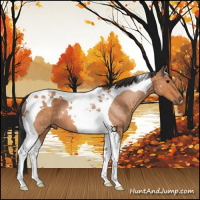 Horse Color:Bay Tobiano 