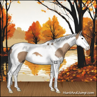Horse Color:Bay Dun Splash Tobiano 
