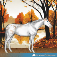 Horse Color:Bay Dun Splash Tobiano