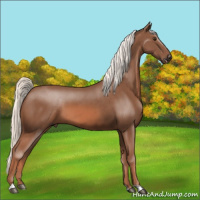 Horse Color:Chestnut Mushroom 